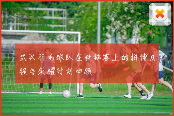 武汉羽毛球队在世锦赛上的拼搏历程与荣耀时刻回顾