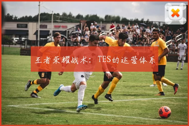 王者荣耀战术：TES的运营体系