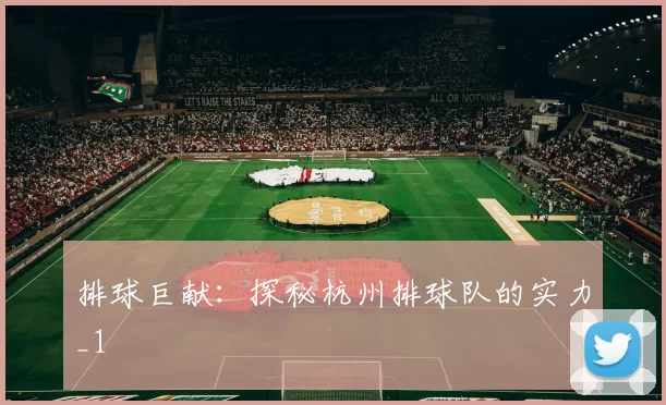 排球巨献：探秘杭州排球队的实力_1