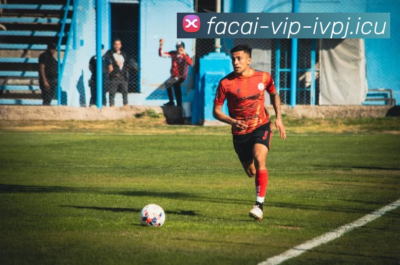 乐鱼体育品牌故事