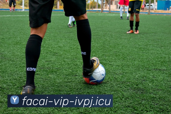 乐鱼体育服务体系